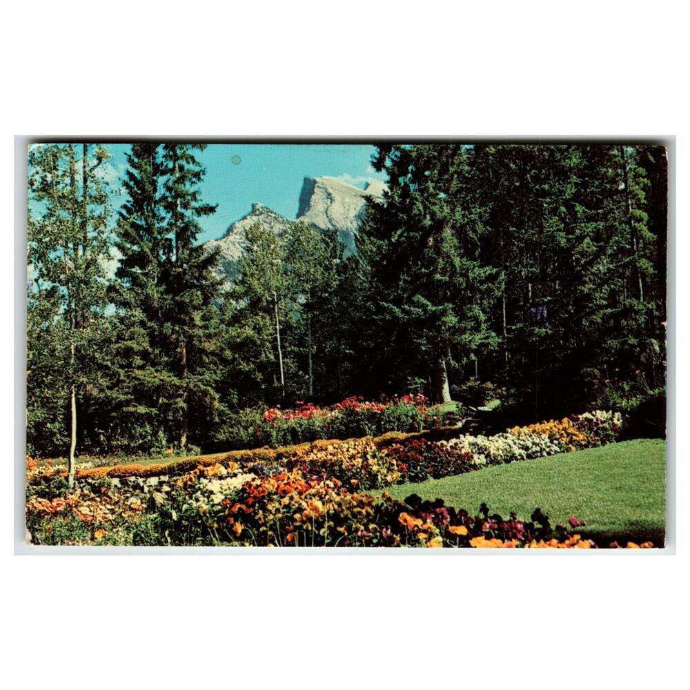 Vintage 1964 Banff Alberta Cascade Rock Gardens Colourpicture Postcard
